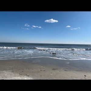 Meet your Posher, Maddy